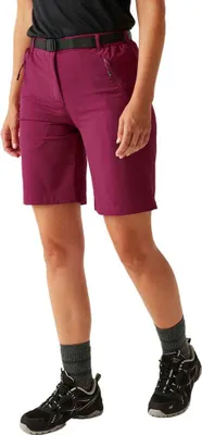 Produktbild von Regatta Xert Stretch Light Kurze Hose Lila 40 Frau Lila 40