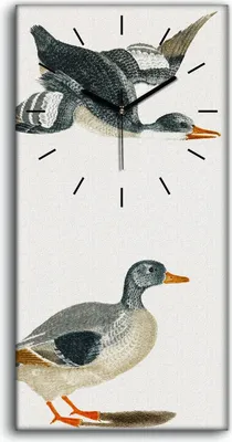 Produktbild von Küche Wohnzimmer Wand Leinwand Uhr 30x60 Zeichnen von Tieren Vögel Kunst - schwarze Hände