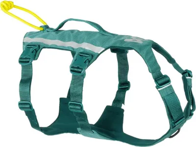Produktbild von Non-stop dogwear Hundegeschirr Ramble Harness long blau, Größe: L