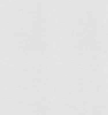 Produktbild von Vliestapete 161410 Tapete Uni Einfarbig 106 x 2500 cm Rasch Selection Weiß