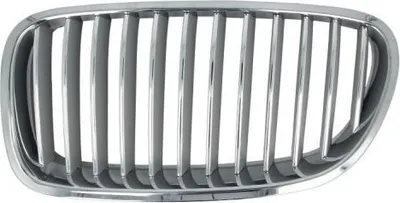 Produktbild von BLIC 6502-07-0067995P Kühlergrill Frontgrill für BMW 5 Touring (F11) Links Silber Chrom
