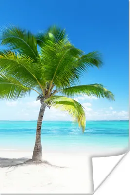 Produktbild von MuchoWow® Poster Palme - Strand - Meer - Sommer 40x60 cm - Plakate für die Wand - Poster Babyzimmer