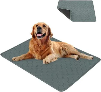 Produktbild von Wasserdichte Hunde-Damengeschirr-Unterlage für Hunde und Katzen schnell trocknend 100 x 70 cm 1 Stück Grau