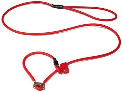 Produktbild von Mystique® Biothane Moxonleine 6mm rot 150cm Moxon mit Zugbegrenzung