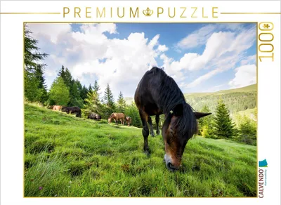 Zdjęcie produktu dla Calvendo 4059478836280, 1000 szt., Inne, 14 lat(a)