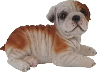 Produktbild von Dekofigur Bulldogge liegend 19 x 12 x 10,5 cm braun weiß
