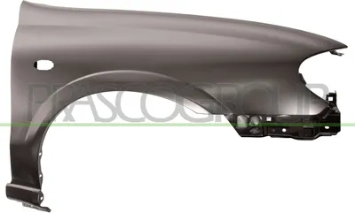 Produktbild von PRASCO DS4243013 Kotflügel Vorne Rechts für NISSAN ALMERA II Hatchback (N16)