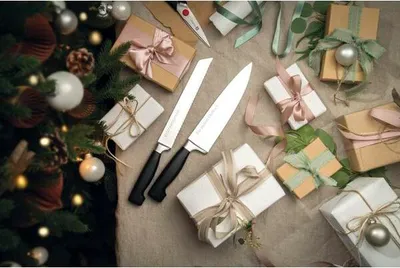 Image de ZWILLING Professional S couteau de chef 260 mm couteau universel couteau de cuisine couteau à pain