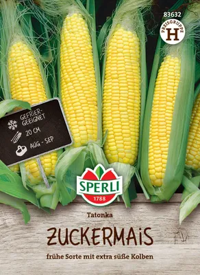 Produktbild von Zuckermais Tatonka F1 | Maissamen von Sperli