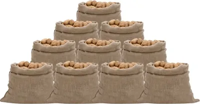Obrázek produktu pro Jutové pytle 10 ks 100x110 cm 100% juta 220 g/m²