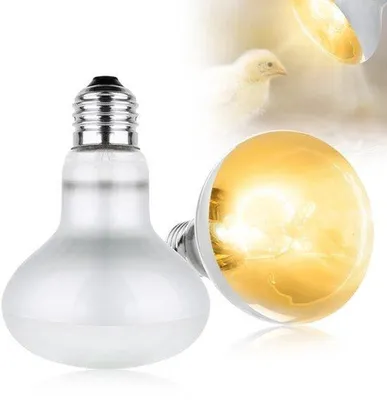 Zdjęcie produktu dla 2 lampy grzewcze dla gadów, 100 W, lampa grzewcza