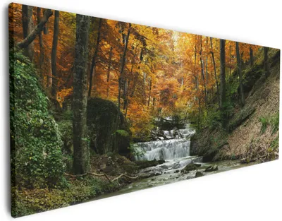 Produktbild von Wallario Premium Leinwandbild Kleiner Bach über Steine im Herbstwald in Größe 50 x 125 cm