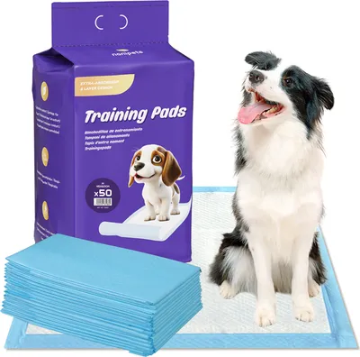 Produktbild von Nanipets® 50 x Absorbierende Trainingsunterlagen  Welpenunterlagen, Trainingspads Für Hunde, Super Saugfähig, Pet Pad, Welpen Unterlagen M 45 * 60 cm