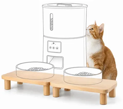 Immagine prodotto di Set di 2 ciotole rialzate per gatti