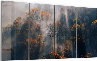 Produktbild von DEQORI Glasbild Echtglas 4x30x60 cm 'Herbstlicher Nebelzauber' Wandbilder XXL groß