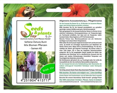 Zdjęcie produktu dla 15x Rare Datura Colourful Mix Flower Plants - Nasiona #2