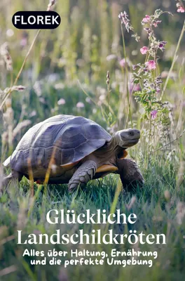 Produktbild von Glückliche Landschildkröten