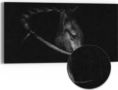Produktbild von DEQORI Hybrid Leinwand Bild 60x30 cm 'Schönes Pferd im Profil' Wandbild Glas flach modern