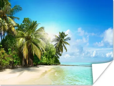 Produktbild von MuchoWow® Poster Meer - Palme - Strand - Tropisch - Blau - Grün 160x120 cm - Foto Plakat