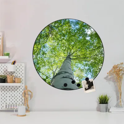 Produktbild von Design Stahlmagnettafel Schwarz Rund 47cm Zwischen Bäumen 5