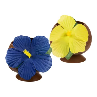 Immagine prodotto di Tazza di cocco Hawaii marrone - Taglia unica