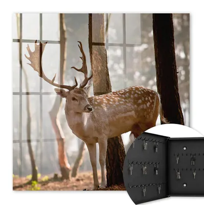 Produktbild von Metall Schlüsselkasten 30 x 30 cm - schwarzer Schlüsselschrank zur Wandmontage - wandhängende Schlüsselbox mit Tür - nach links öffnend - Schlüsselaufbewahrung für Flur - Büro - Arbeitszimmer - Werkstatt - Garage - Hirsche im Wald
