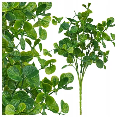 Produktbild von Topoblu Künstliche Grüne Eukalyptus Zweige 30 cm Deko