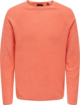 Image de Pull Only & Sons 22016131-CAMELLIA pour Homme