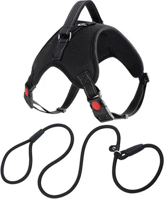 Immagine prodotto di Guinzaglio per passeggiate sicure e confortevoli, regolabile, riflettente e traspirante