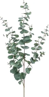Produktbild von Emerald Künstlicher Eukalyptus Zweig - Coca | 115 cm, für drinnen, Kunstbaum, wie echt, Allergiker geeignet, pflanzliche Dekoration Praxis, Office & Wohnzimmer