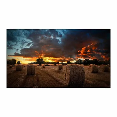 Produktbild von Samsung VM55B-U - 140 cm (55") Diagonalklasse VMB-U Series LCD-Display mit LED-Hintergrundbeleuchtung - Digital Signage - 1080p 1920 x 1080