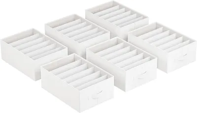 Imagen del producto de Kastorganizers - Juego de 6 - Plegables - 6 compartimentos por organizador - 42 x 30 x 17 cm