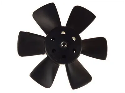 Obrázek produktu pro Ventilátor, chlazení motoru THERMOTEC D8W013TT