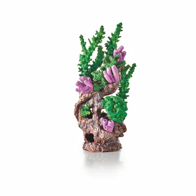 Obrázek produktu pro biOrb Reef Ornament green
