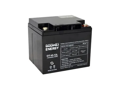 Obrázek produktu pro Trakční olověná baterie 12V 45Ah GOOWEI ENERGY OTL45-12 DEEP CYCLE