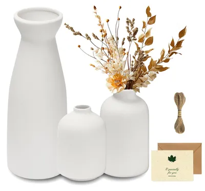 Immagine prodotto di Elzusha - Set di 3 vasi in Vetroceramica - Ideali per pampas e fiori