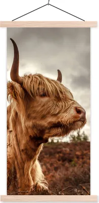 Produktbild von MuchoWow® Textilposter Scottish Hochlandrind - Strauch - Heidekraut 40x80 cm mit holzfarbenen Rahmen - Wohnzimmer