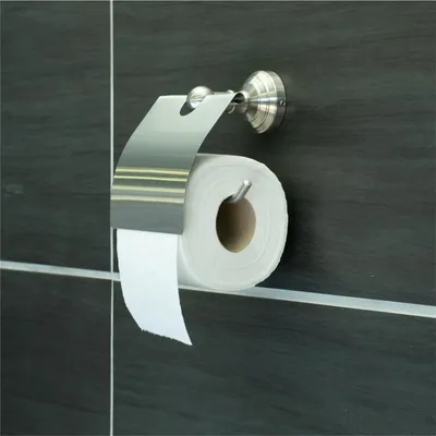 Produktbild von 15133 Papierhalter aus gebürsteten Stahl / Toilettenpapierhalter / aus der Serie ACCIANO