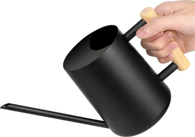 Produktbild von 1L Edelstahl-Gießkanne für Zimmerpflanzen, lang, komfortgriff
