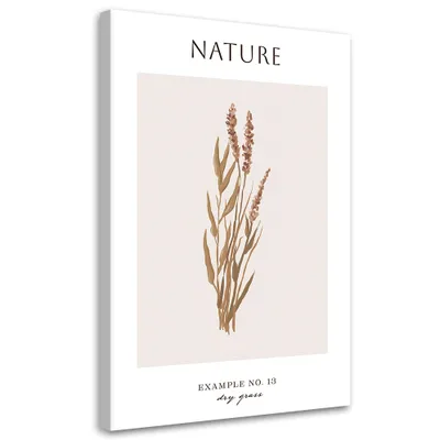 Produktbild von Leinwandbild Getrocknetes Gras – Natur 70x100 Feeby Beige bild für die wand bereit zum aufhängen
