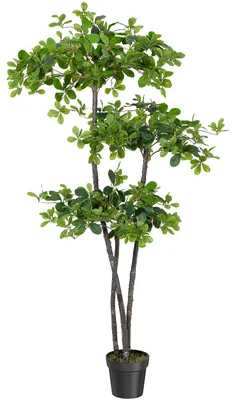 Produktbild von Künstlicher Olivenbaum 180 cm in Schwarz – Täuschend echte Kunstpflanze mit natürlichem Wuchs im Pflanztopf, für Wohnzimmer & Büro