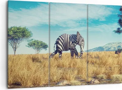 Produktbild von Bild auf Leinwand - Leinwandbild - 3 Teile - Surreal Elefant Rippen - 105x70cm - Wand Bild - Wanddeko - Wandbilder - Leinwanddruck - Bilder - Wanddekoration - Leinwand bilder - CE105x70-4717