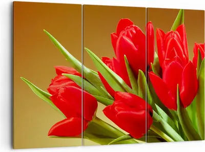 Produktbild von Bild auf Leinwand - Leinwandbild - Tulpen Blumen Feld Plantage - 105x70cm - Wand Bild - Wanddeko - Leinwanddruck - Bilder - Kunstdruck - Wanddekoration - Leinwand bilder - Wandkunst - CE105x70-0962