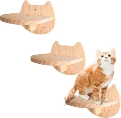 Produktbild von Famanu Katzenklimmsystem aus Holz - Katzenhängematte und Katzenleiter