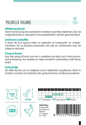 Produktbild von Kuhschelle | Blumensamen von Hortitops
