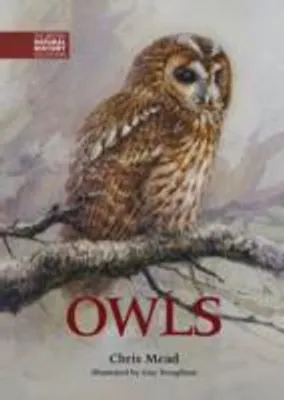 Produktbild von Owls