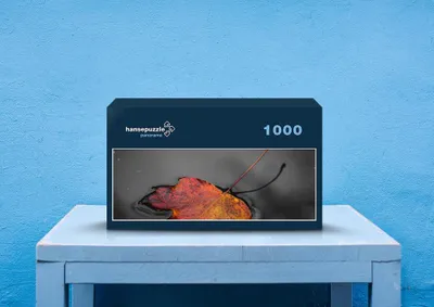 Produktbild von hansepuzzle 43507 - Herbst Puzzle, 1050 Teile, Natur, 60,0 x 46,0cm mit hochwertiger Aufbewahrung, Kartonbox und wiederverschließbarem Beutel