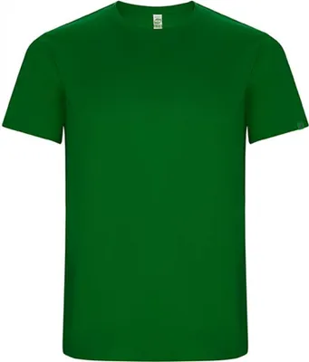 Produktbild von Roly Eco CA0427 | MenŽs Imola Funktions T-Shirt - 50% recyceltem Polyester - Farbe: Fern Green 226 - Größe: XL