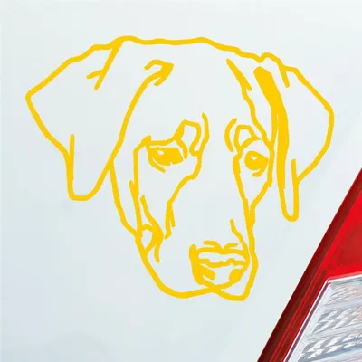 Produktbild von Auto Aufkleber Labrador Labi Labbi Hund Dog 12x10 cm Gelb Sticker Heckscheibenaufkleber