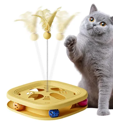 Image de Jeu de labyrinthe pour chats avec des boules